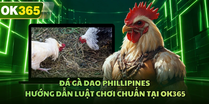 Đá Gà Dao Phillipines - Hướng Dẫn Luật Chơi Chuẩn Tại OK365