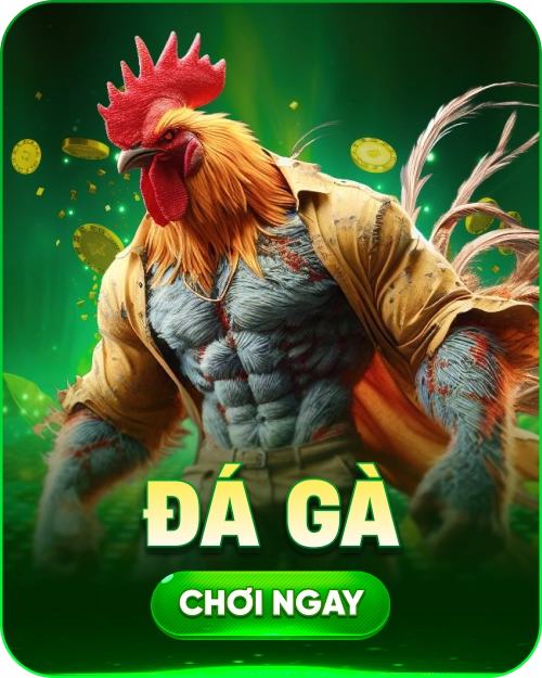 đá gà ok365