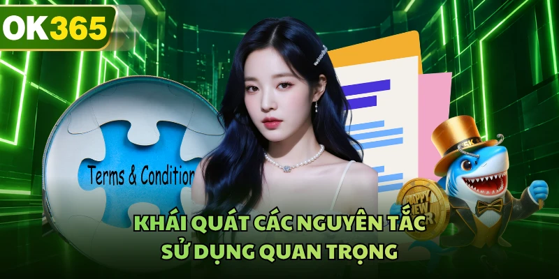 Khái quát các nguyên tắc sử dụng quan trọng 