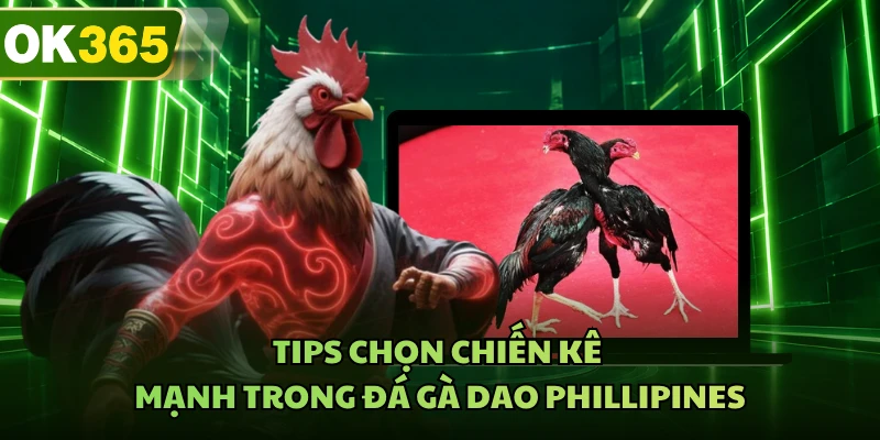Tips chọn chiến kê mạnh trong đá gà dao Phillipines