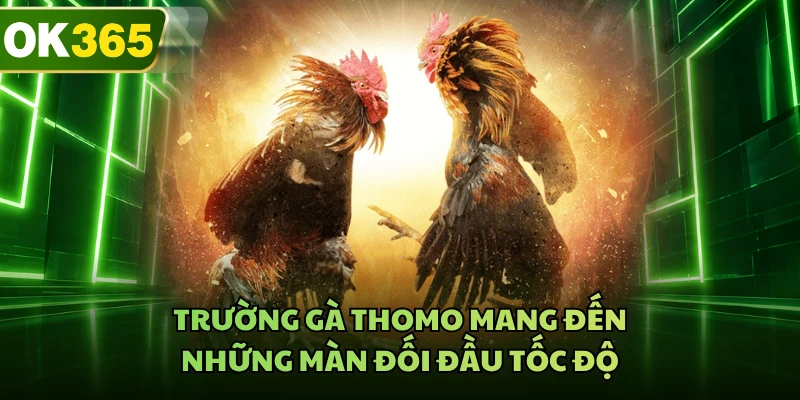Trường gà Thomo mang đến những màn đối đầu tốc độ